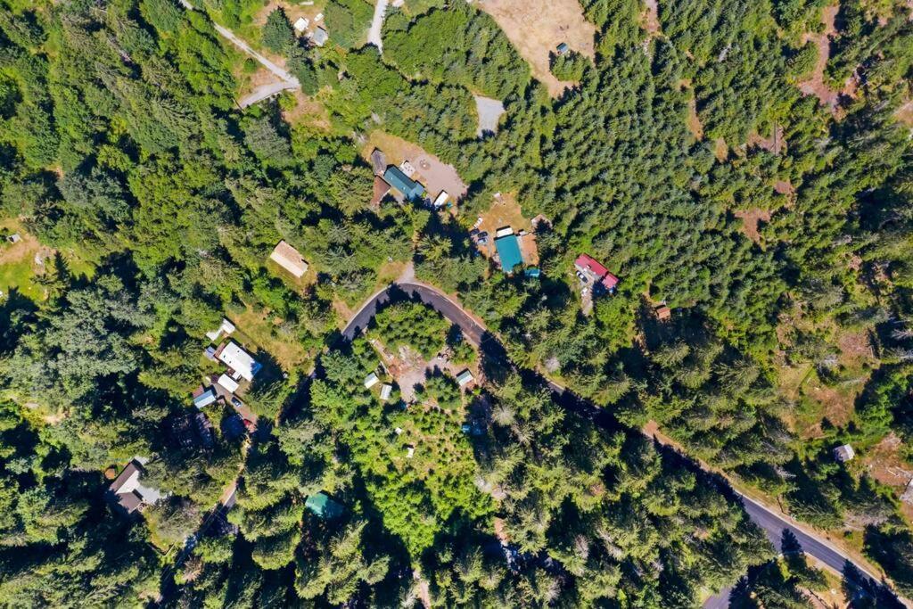 New Tiny Home Steps Away From Mt. Rainier アッシュフォード エクステリア 写真