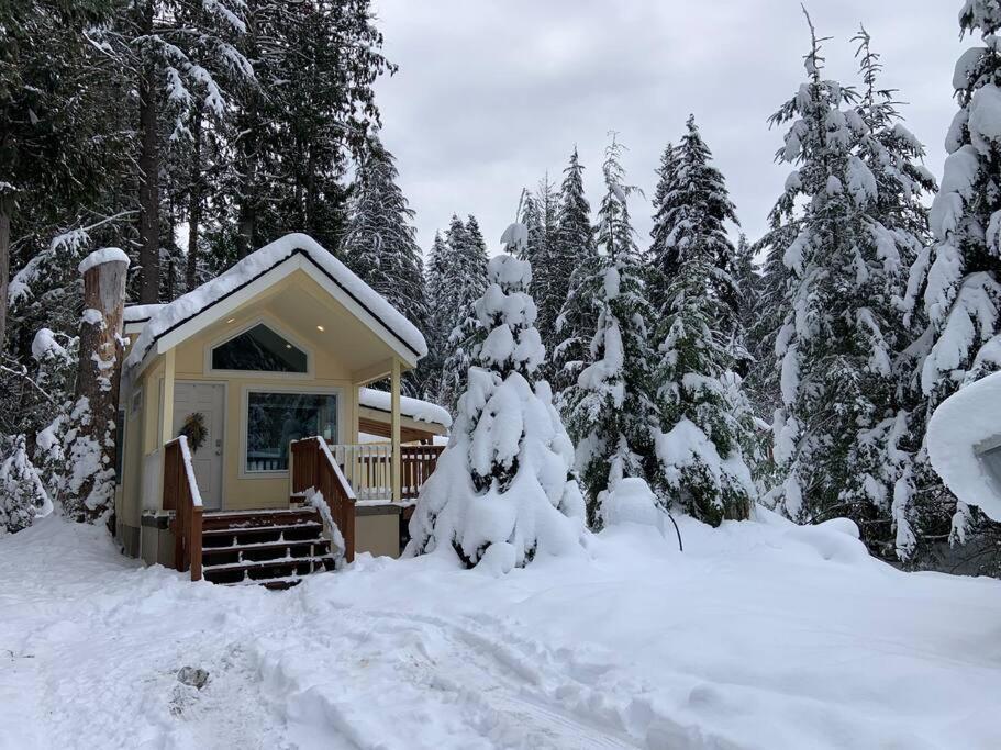 New Tiny Home Steps Away From Mt. Rainier アッシュフォード エクステリア 写真