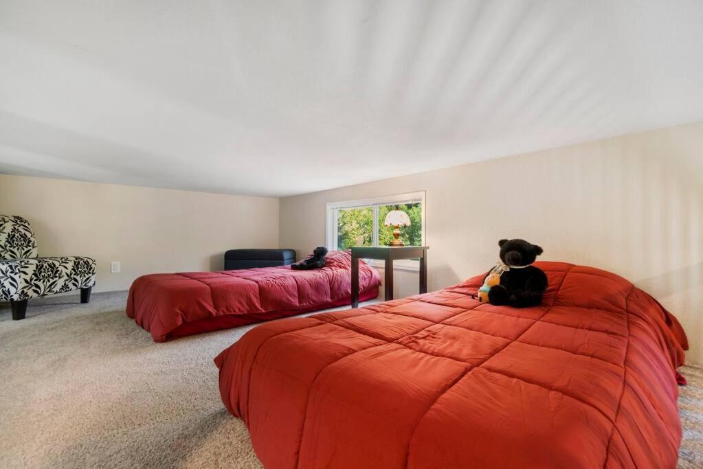 New Tiny Home Steps Away From Mt. Rainier アッシュフォード エクステリア 写真